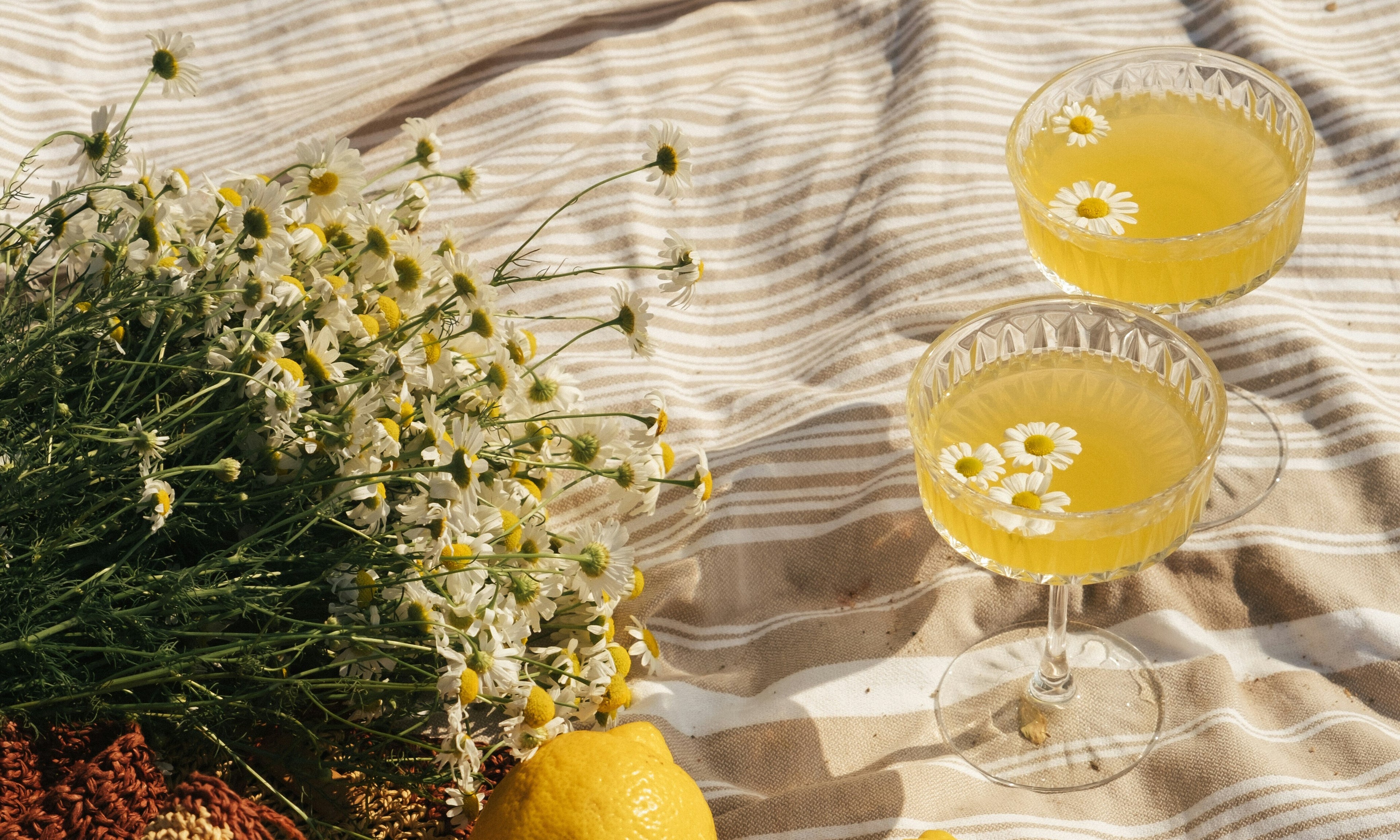 Banner Blog Editorial