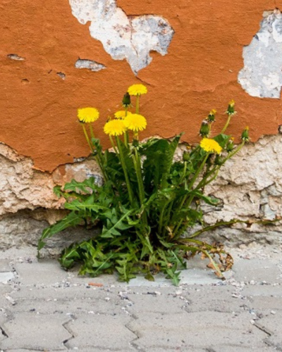 Stocks dormants : pourquoi ce sujet est important pour nous