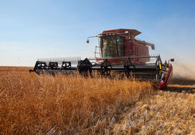 Ernte im September – Flachsballen