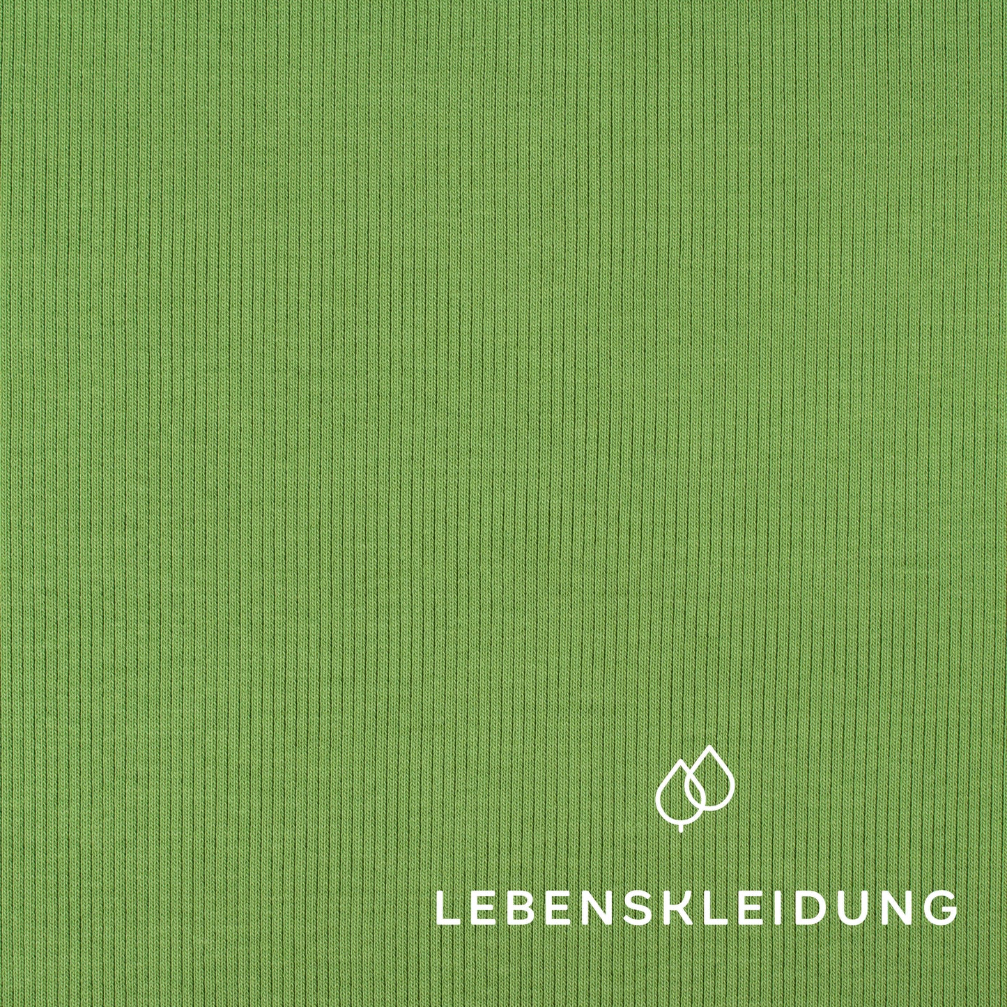 Organic ribbing fabric - Opuntia Green – Detail view